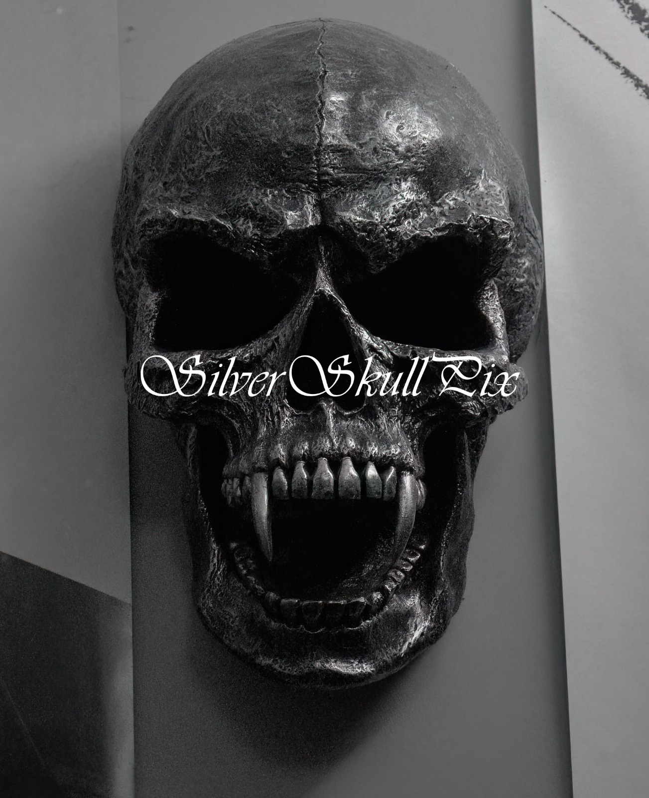 Silver Skull Logo