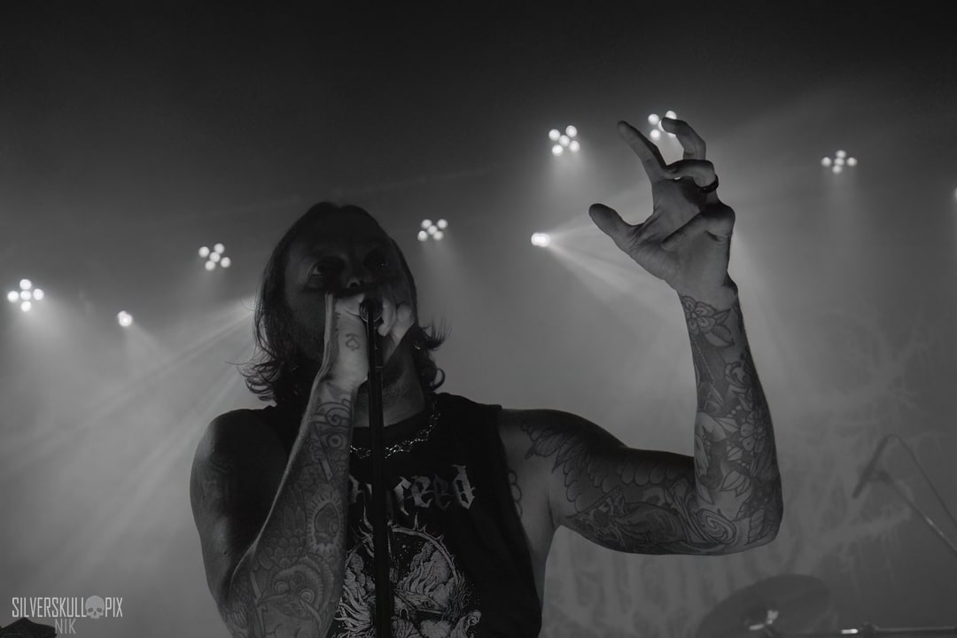 ashvol1DSC_9076X-low-light.jpg - Silverskullpix
