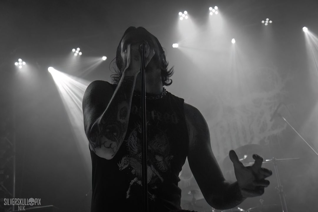 ashvol1DSC_9301X-low-light.jpg - Silverskullpix
